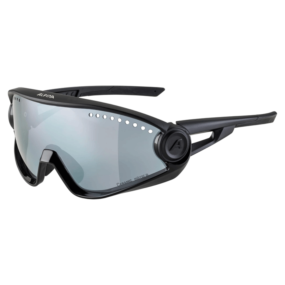 Очки солнцезащитные Alpina Dimont Очки солнцезащитные Alpina Dimont