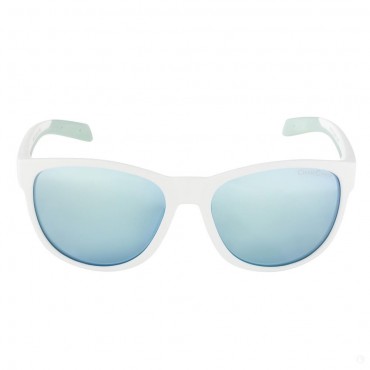 Очки солнцезащитные Alpina Nacan II cat. 3