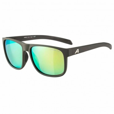 Очки солнцезащитные Alpina Nacan Iii