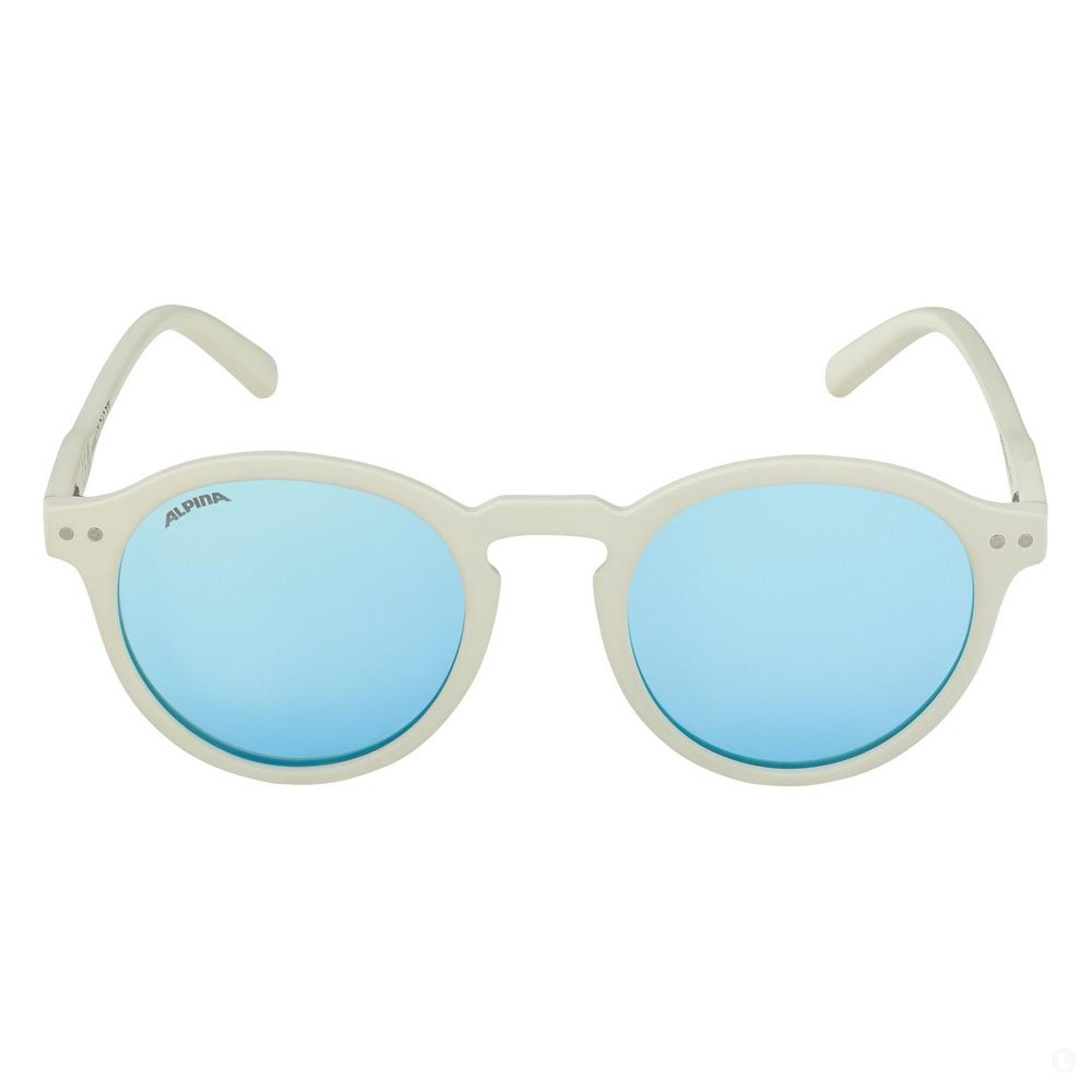 Очки солнцезащитные Alpina Sneek Очки солнцезащитные Alpina Sneek