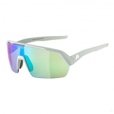 Очки солнцезащитные Alpina Turbo HR