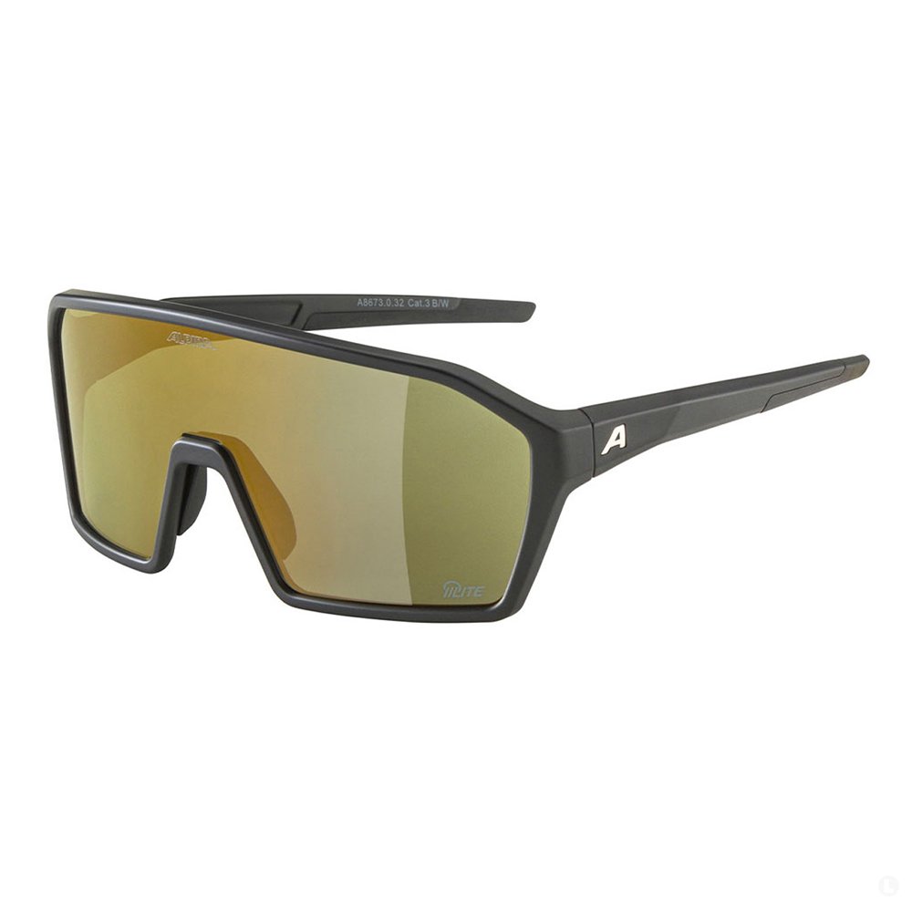 Очки солнцезащитные Alpina Ram 2.0 Очки солнцезащитные Alpina Ram 2.0