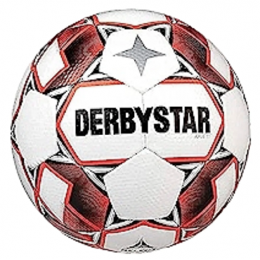 Мяч футбольный Derbystar Ergo TT