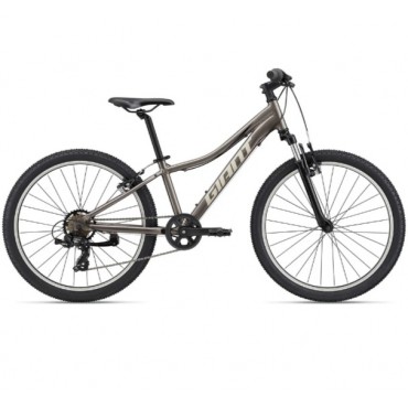 Велосипед Giant XtC Jr 24 - 2022