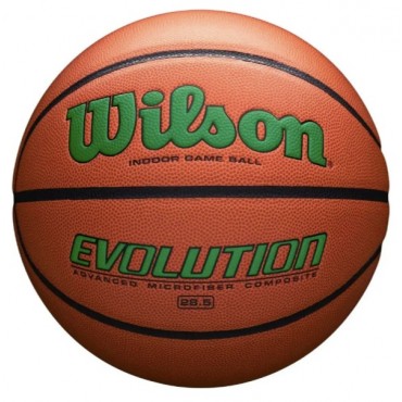 Мяч баскетбольный Evolution Wilson 295